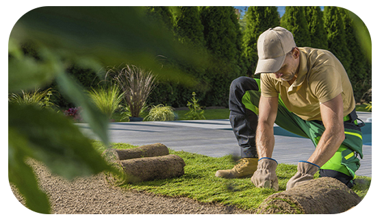 Tree planting and landscaping